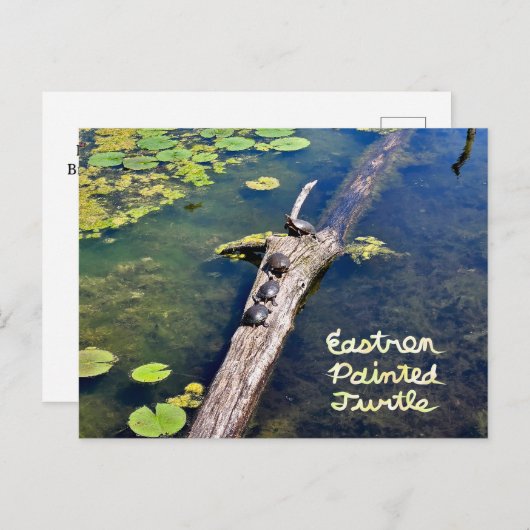 Lake Erie Metropark Turtle Log Vertikal mit Text Postkarte (Vorne/Hinten)