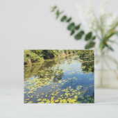 Lake Erie Metropark View Postkarte (Stehend Vorderseite)