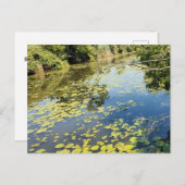 Lake Erie Metropark View Postkarte (Vorne/Hinten)