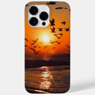 Lake Erie Sonnenuntergang Case-Mate iPhone 14 Pro Max Hülle