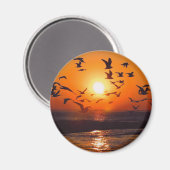 Lake Erie Sunset Magnet (Vorderseite/Rückseite)