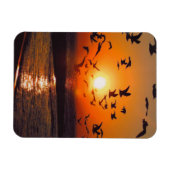 Lake Erie Sunset Magnet (Horizontal)