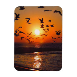 Lake Erie Sunset Magnet