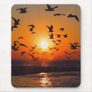 Lake Erie Sunset Mousepad