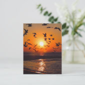 Lake Erie Sunset Postkarte (Stehend Vorderseite)