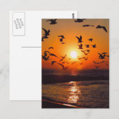 Lake Erie Sunset Postkarte (Vorne/Hinten)