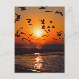 Lake Erie Sunset Postkarte