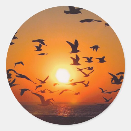 Lake Erie Sunset Runder Aufkleber (Vorderseite)