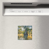 Lake Fausse Pointe State Park Magnet (In Situ (Geschirrspüler))