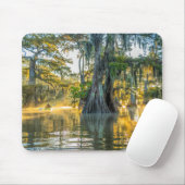 Lake Fausse Pointe State Park Mousepad (Mit Mouse)