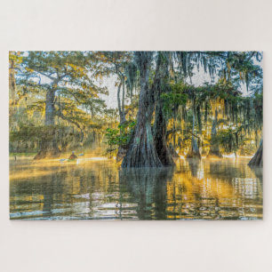 Lake Fausse Pointe State Park Puzzle