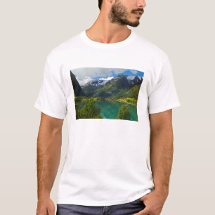 Lake Floen landschaftlich, Norwegen T-Shirt