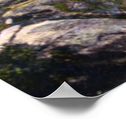 Lake George New York Paradise Bay Poster (Ecke)