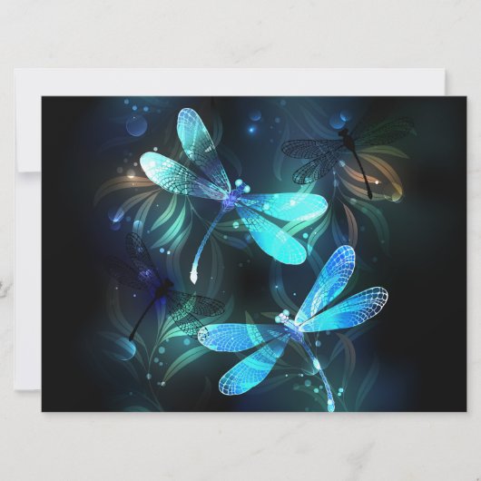 Lake Glows Dragonflies Ankündigung (Vorderseite)