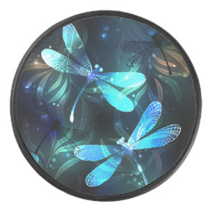 Lake Glows Dragonflies Eishockey Puck