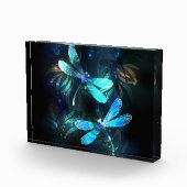 Lake Glows Dragonflies Fotoblock (Rechts)