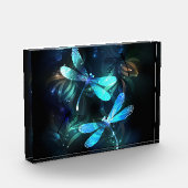 Lake Glows Dragonflies Fotoblock (Links)