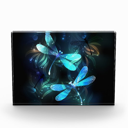 Lake Glows Dragonflies Fotoblock (Vorderseite)