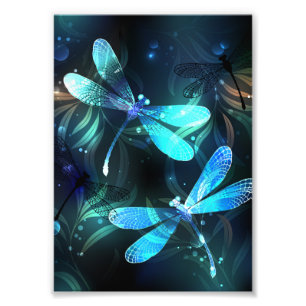 Lake Glows Dragonflies Fotodruck