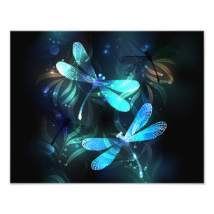 Lake Glows Dragonflies Fotodruck