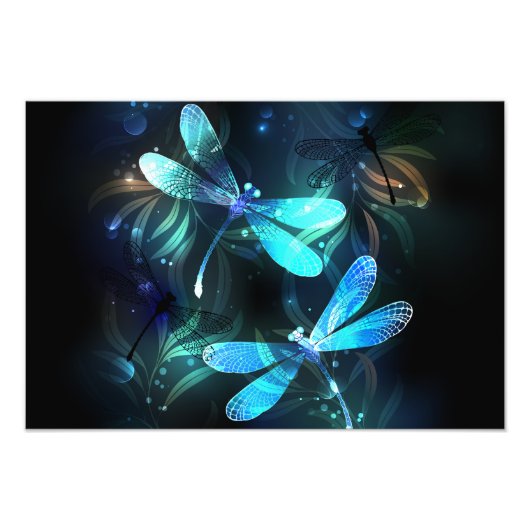 Lake Glows Dragonflies Fotodruck (Vorne)