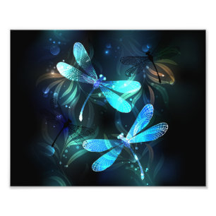 Lake Glows Dragonflies Fotodruck