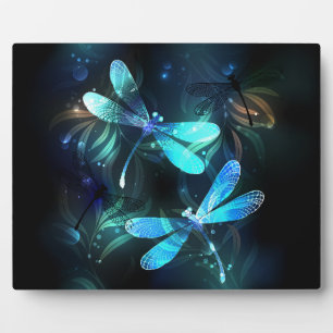 Lake Glows Dragonflies Fotoplatte