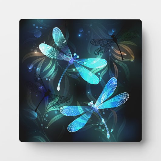 Lake Glows Dragonflies Fotoplatte (Vorderseite)