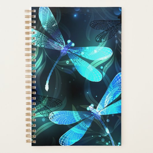 Lake Glows Dragonflies Planer (Vorderseite)