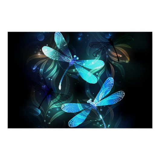 Lake Glows Dragonflies Poster (Vorderseite)
