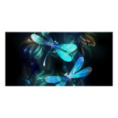 Lake Glows Dragonflies Poster (Vorderseite)