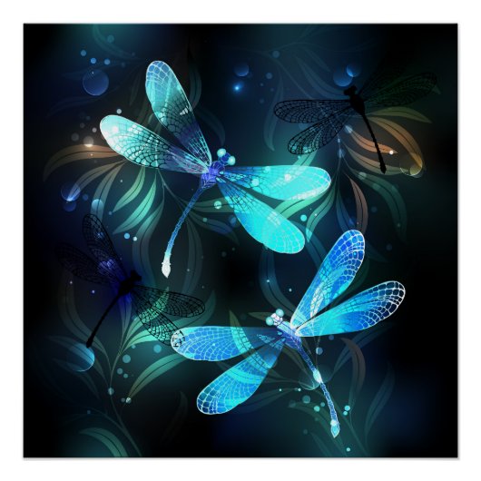 Lake Glows Dragonflies Poster (Vorderseite)