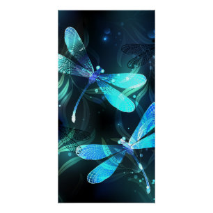 Lake Glows Dragonflies Poster