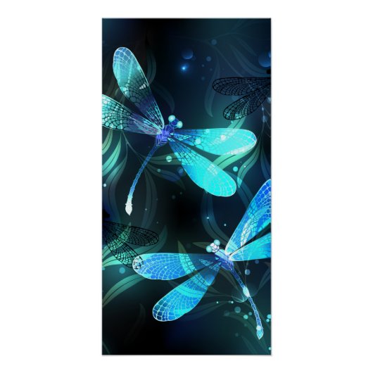 Lake Glows Dragonflies Poster (Vorderseite)
