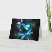 Lake Glows Dragonflies Programm (Vorderseite)