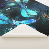 Lake Glows Dragonflies Sherpadecke (3/4)