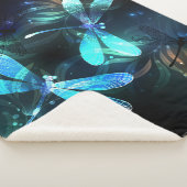 Lake Glows Dragonflies Sherpadecke (3/4)