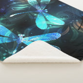 Lake Glows Dragonflies Sherpadecke (3/4)