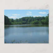 Lake Greenwood Cove Postkarte (Vorderseite)