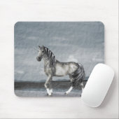 Lake Guardian Mousepad (Mit Mouse)