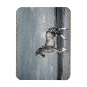 Lake Guardian Vinyl Magnet (Vertikal)
