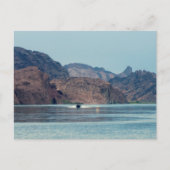 Lake Havasu Postkarte (Vorderseite)