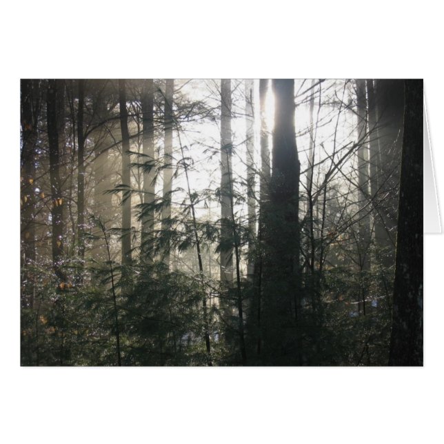 Lake Hill Winter, NY (Vorderseite (Horizontal))