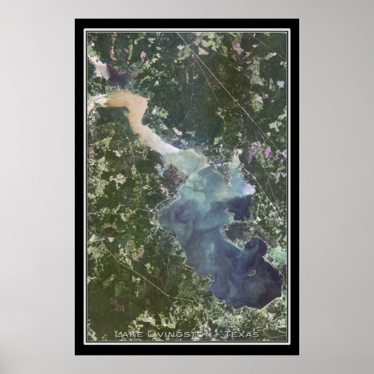 Lake Livingston Texas Satellite Poster Karte (Vorne)