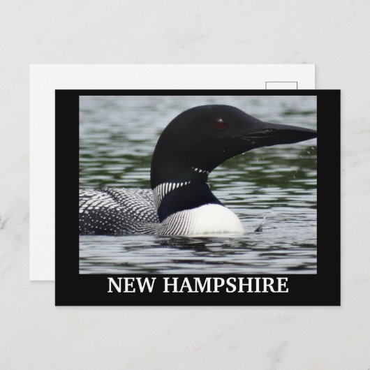 Lake Loon nahes Foto Postkarte (Vorne/Hinten)