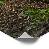 Lake Louise Poster (Ecke)