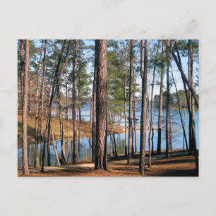 Lake Martin Alabama Seewald Fotografie Postkarte