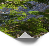 Lake McDonald durch einen Waldrahmen Poster (Ecke)