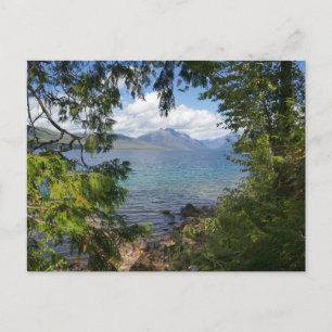 Lake McDonald durch einen Waldrahmen Postkarte