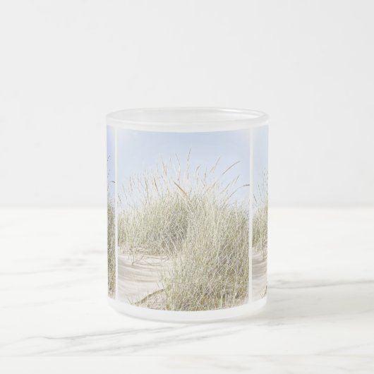 Lake Michigan Beach Grass Foto Mattglastasse (Mittel)